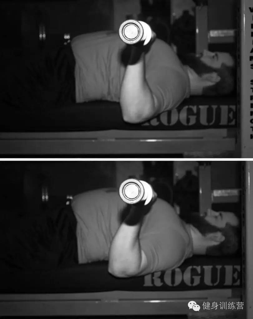 干货|终极版卧推指南——卧推生物力学