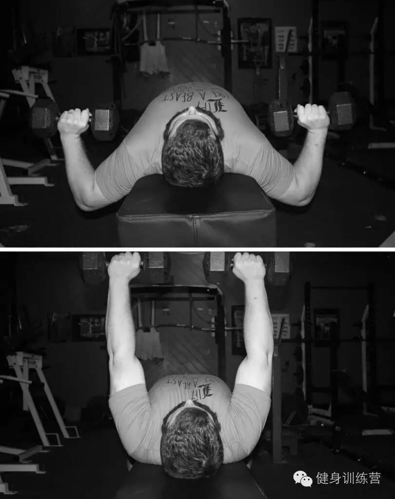 干货|终极版卧推指南——卧推生物力学