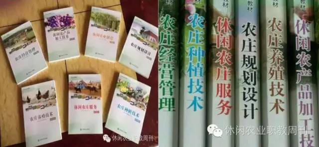 原来农业也可以运用科技,原来的稻地能种萝卜吗