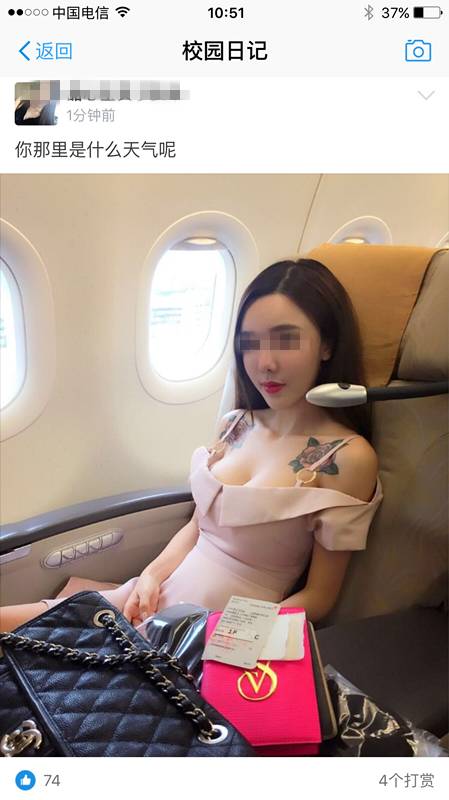 支付宝变信用购是怎么回事,支付宝变蓝是什么原因