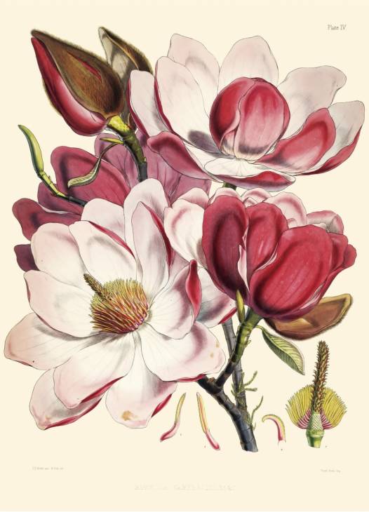 每天给你带来精彩的好书推荐,推荐一本有价值的好书