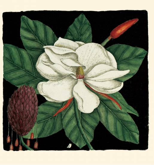 每天给你带来精彩的好书推荐,推荐一本有价值的好书