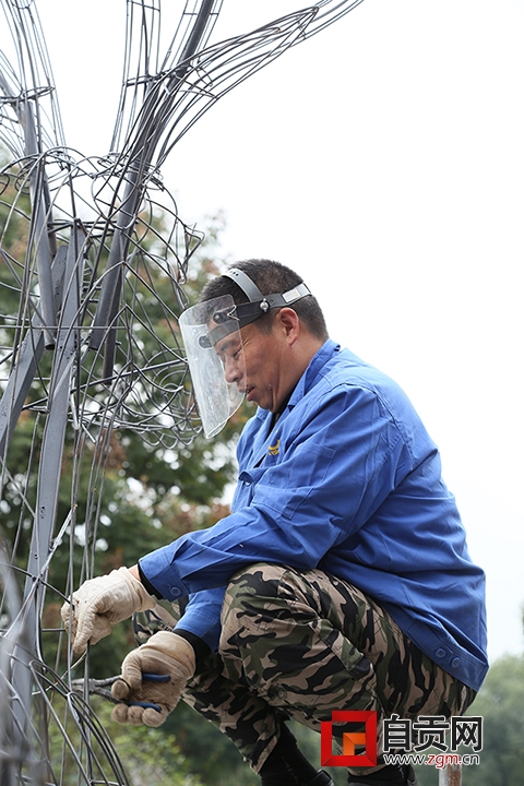 鸡年灯会视频,大唐芙蓉园鸡年灯会夜景