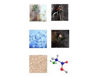 EVELOM亮采紧致乳霜塑造立体轮廓呈现透亮发光肌