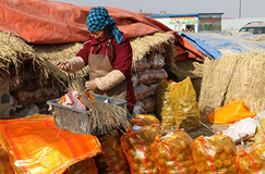 小狗前爪弯曲走路一瘸一拐,小狗前双腿残疾被救助者治好