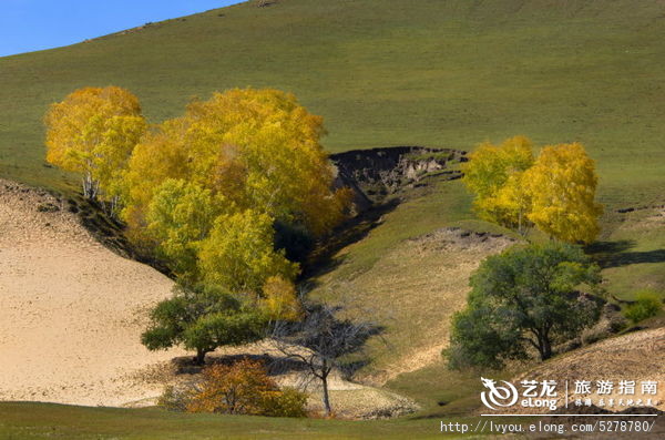 金秋坝上旅游摄影全攻略,坝上透风沟风景图片