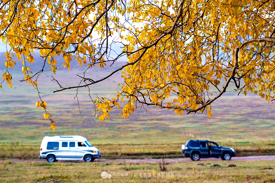 秋季到塞罕坝怎么样,秋天的童话坝上金秋