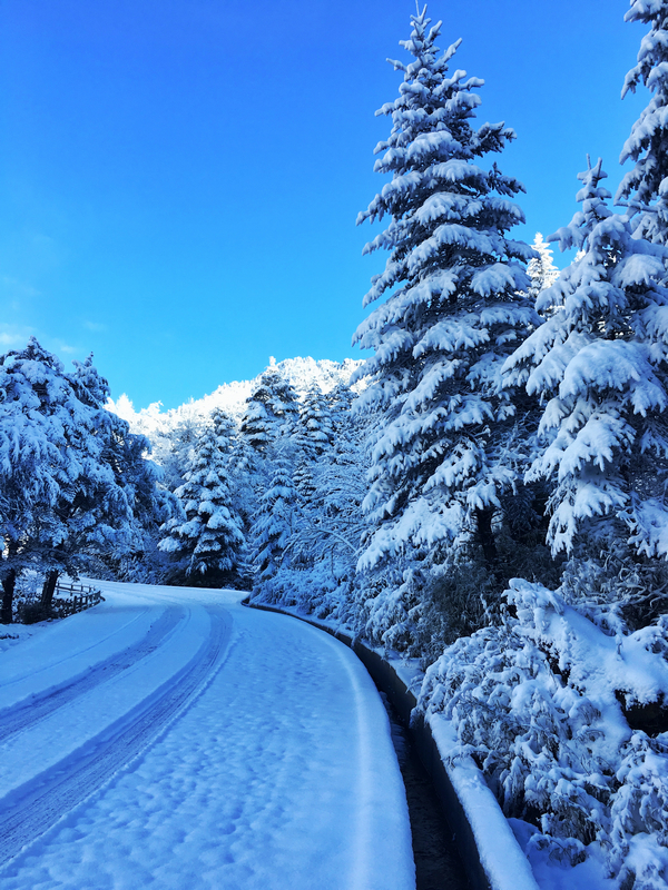 二郎山雪景,天全二郎山冰雪节