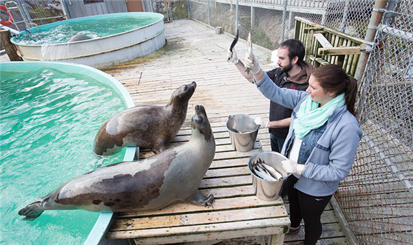 最新鲜！加拿大哪些大学最靠谱？谁实力碾压全场，谁憋屈不服只能垫底，这结果也是有点没想到！