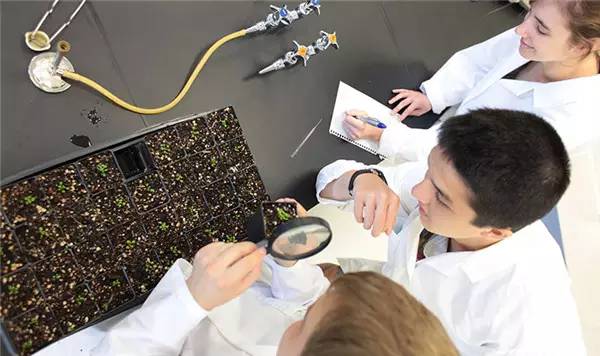 最新鲜！加拿大哪些大学最靠谱？谁实力碾压全场，谁憋屈不服只能垫底，这结果也是有点没想到！