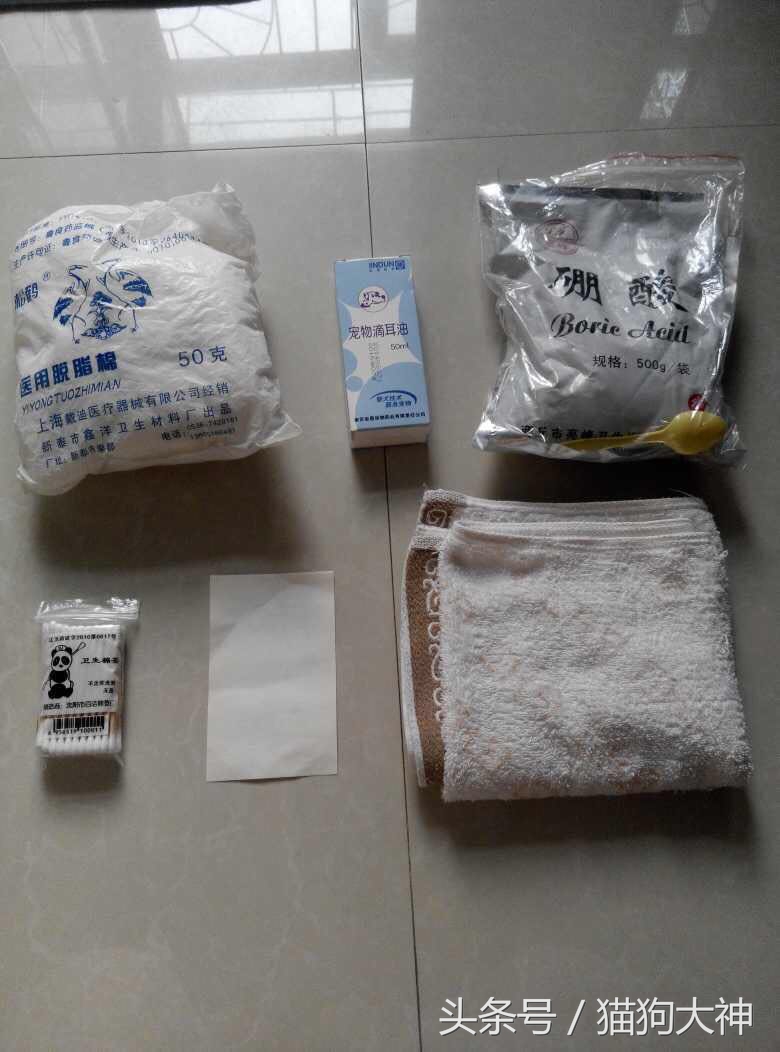 绝对干货，兽医院要失业了，教你只需几块钱，轻松清理干净猫耳朵