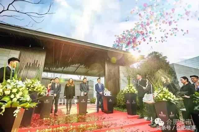 这家楼盘阳台近11米，政务又一豪宅将上市，放风2.5万/㎡