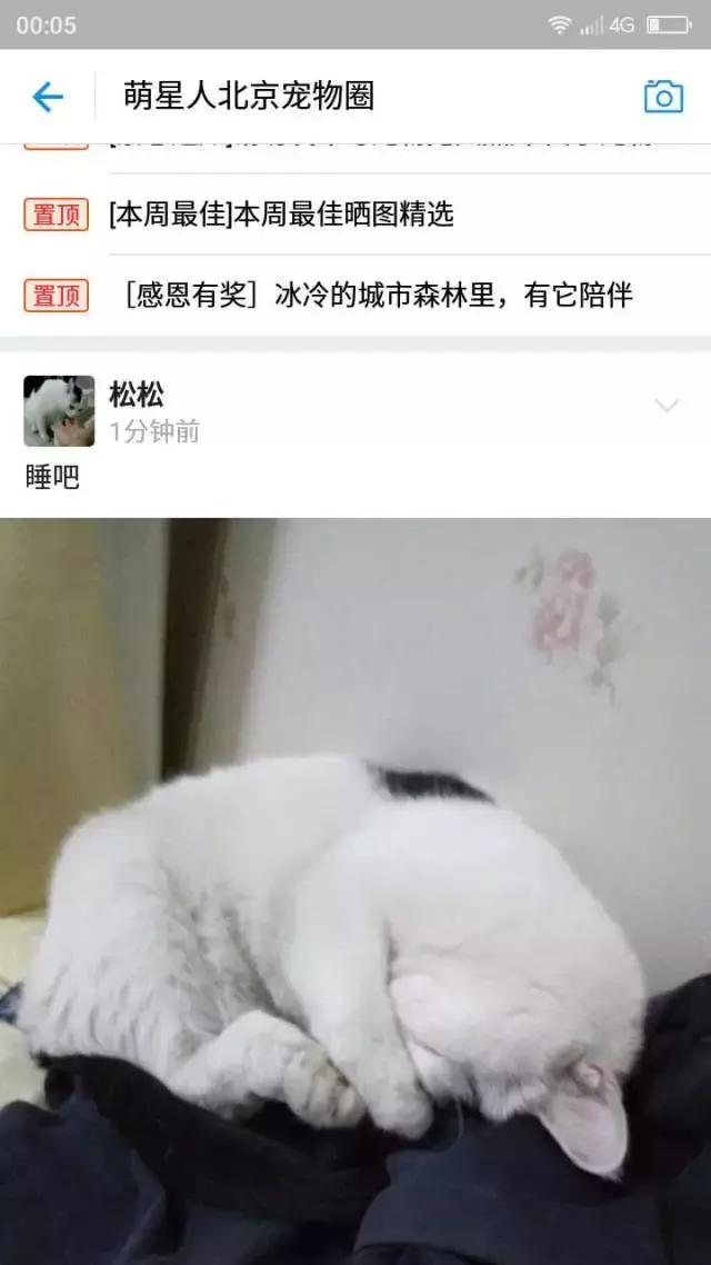 关于支付宝的话题,关于支付宝的那些事