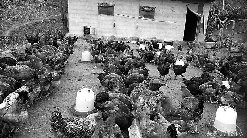 开对了药方子才能拔掉穷根子,开对药方拔穷根