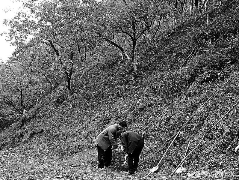 开对了药方子才能拔掉穷根子,开对药方拔穷根