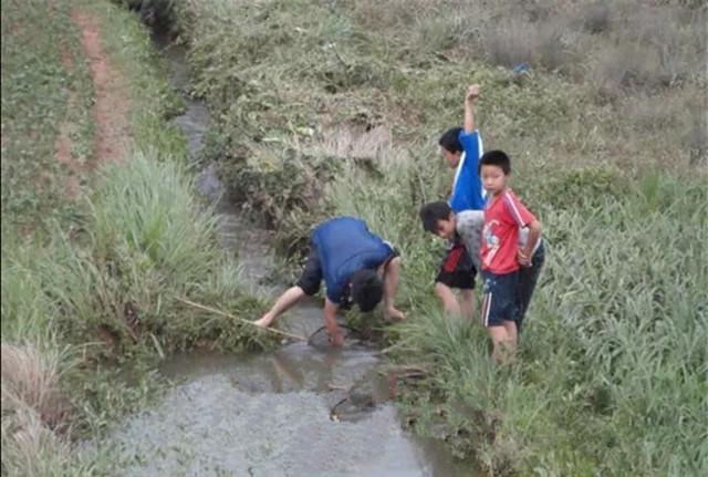 农村小伙捕捞80元一斤的鸭子 (农村小伙捕鱼捕到一条大家伙)