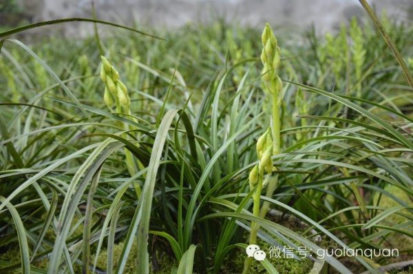 我的艺术成长经历三年级,我的艺术成长足迹照片