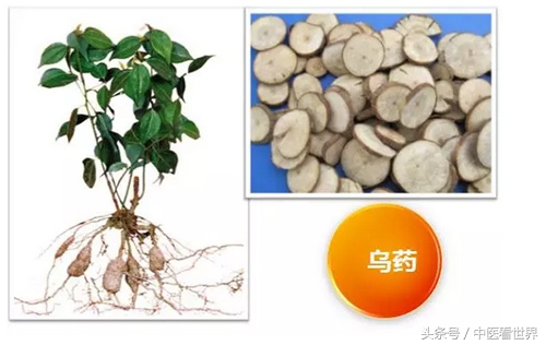 肝胆湿热脾肺郁结的症状,肝气郁结脾弱胃强的中成药