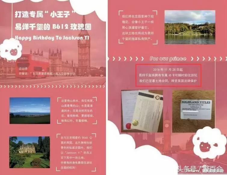 sunshine最惨组合,sunshine组合现在怎样了