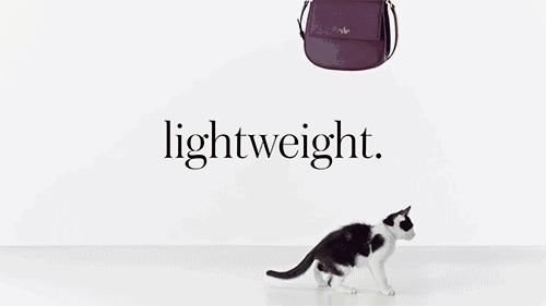 不可错过的8大品牌包包热门款,比较特别的包包牌子有哪些