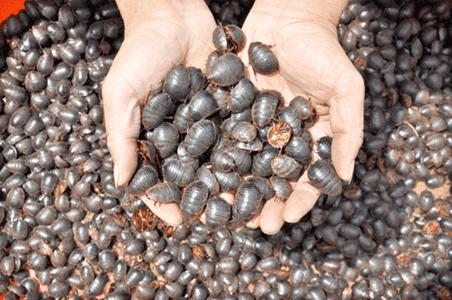 中医治疗中风半身不遂的代表方,中国民间治疗中风偏瘫最好的药