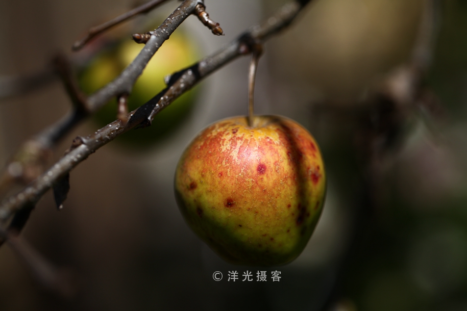 这个民族的祖先因战败被迫流离失所,却创造出世界上独一无二奇迹