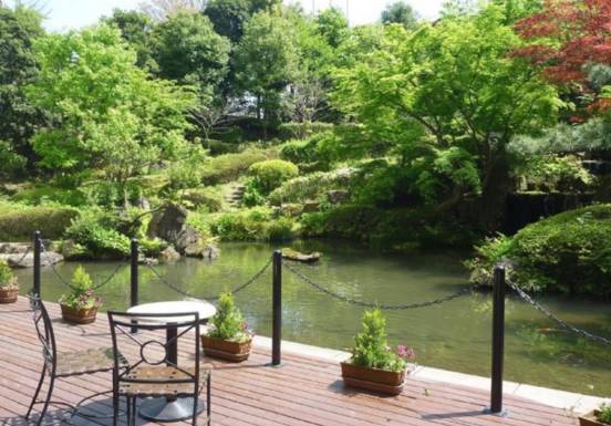 实力干货:日本·成田机场·转机攻略,这一篇足够了!