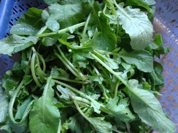 用热水熏妇科可以吗,红糖煮酒治子宫肌瘤