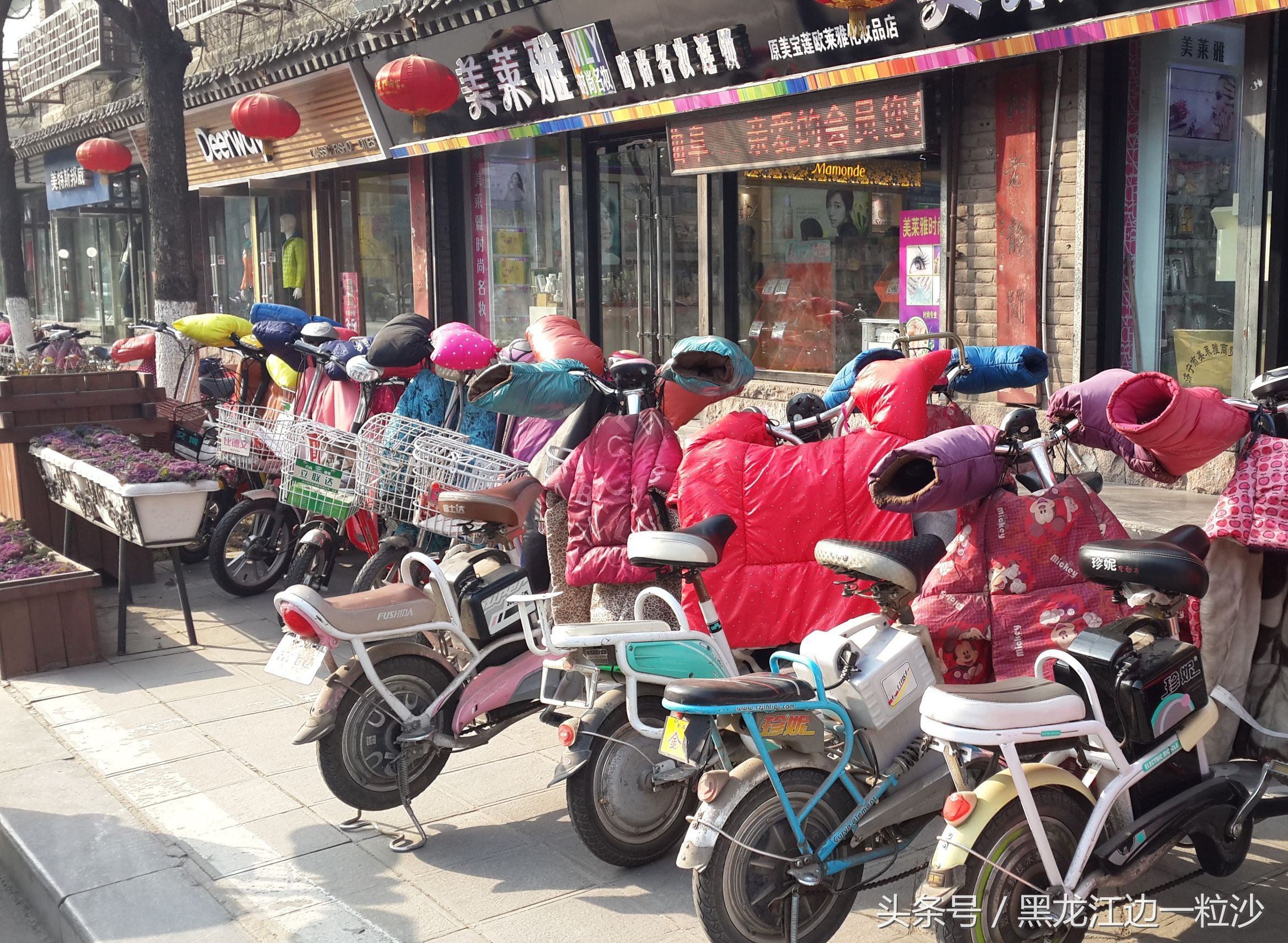 曲阜孔庙旅游免费攻略,走进孔子的故乡山东曲阜孔庙