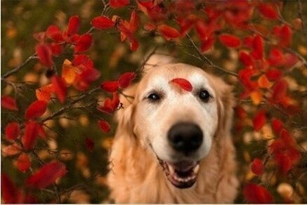 如果钱能买回青春,如果钱能买来一切