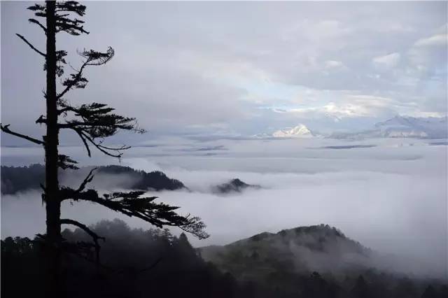 成都川西小环线4天自驾免费景点,成都自驾川西景点推荐