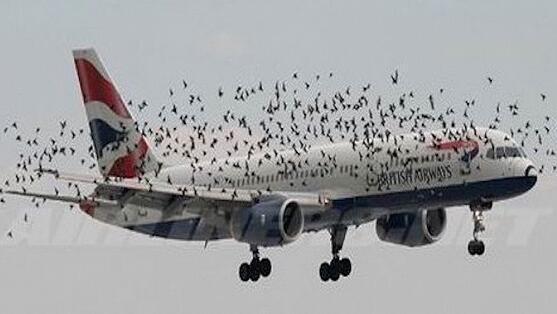 盘点那些飞机飞行事故的现场,盘点那些飞机遇到的空难事故