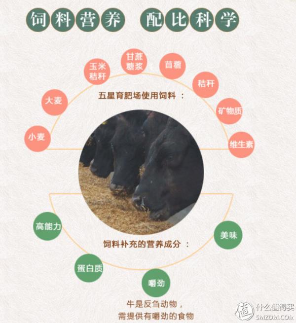 如何在中粮网上团购,中粮网上怎么卖