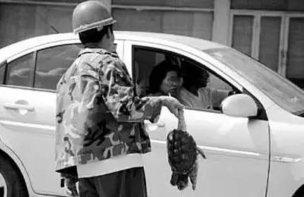 放生还是造孽完整版,有一种造孽叫做放生