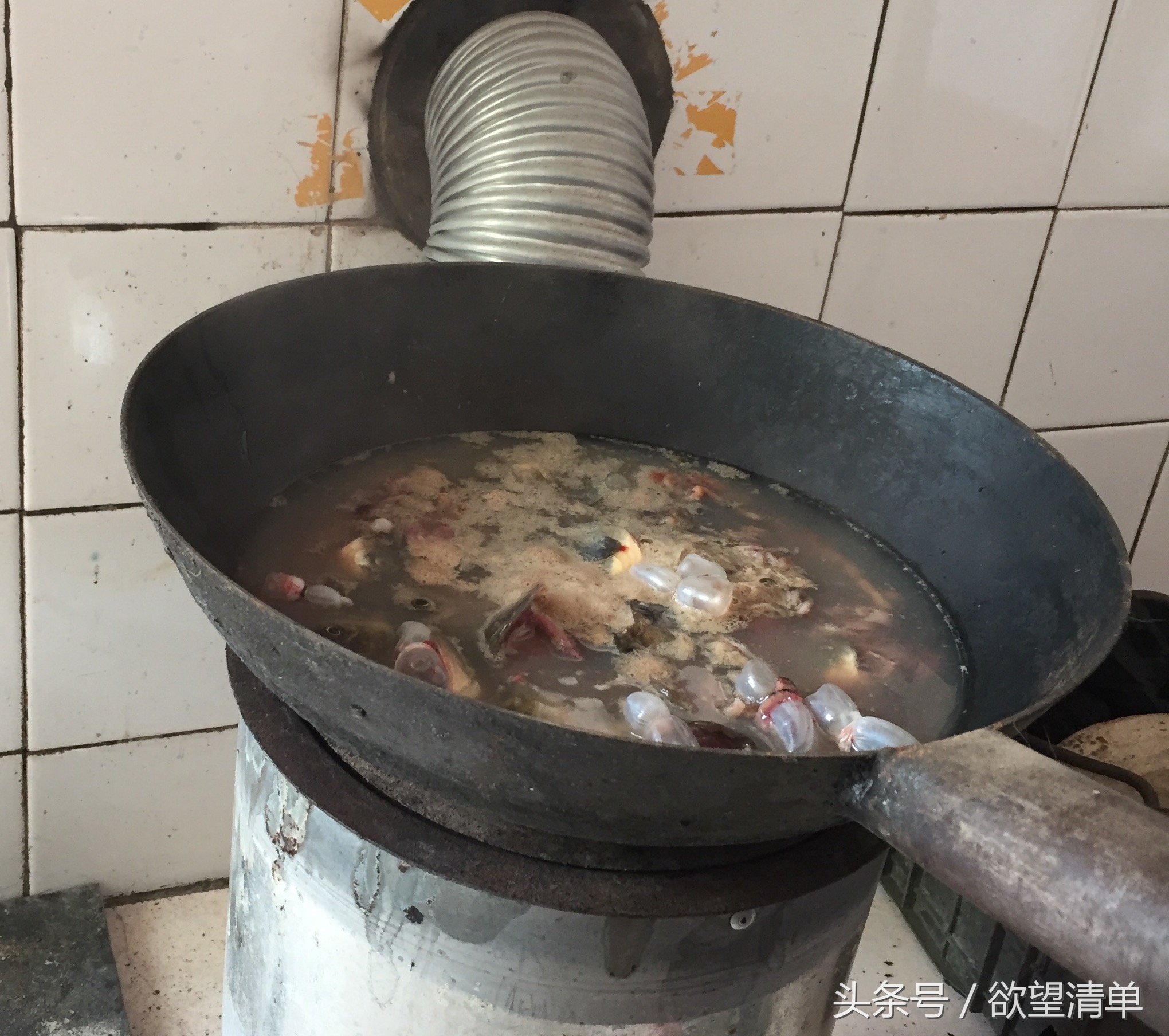 母狗生了狗崽煮什么给他吃,家里狗生了一窝小狗主人吃了