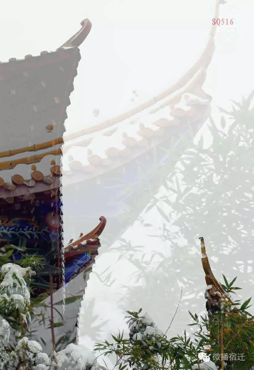 雪中宿迁,素颜都美到窒息!