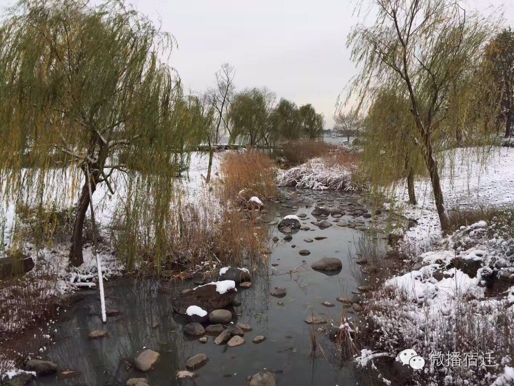 雪中宿迁,素颜都美到窒息!