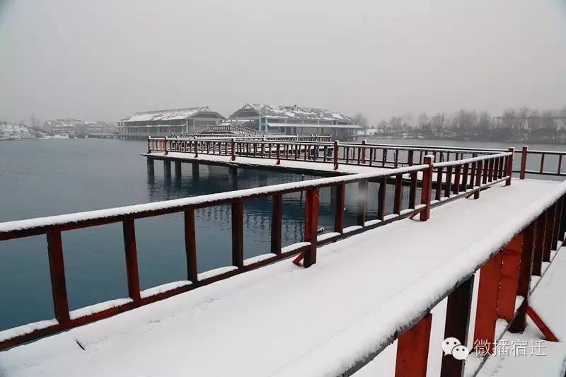 雪中宿迁,素颜都美到窒息!