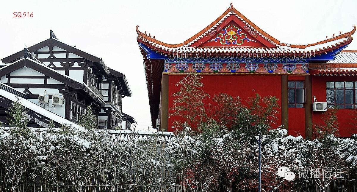 雪中宿迁,素颜都美到窒息!