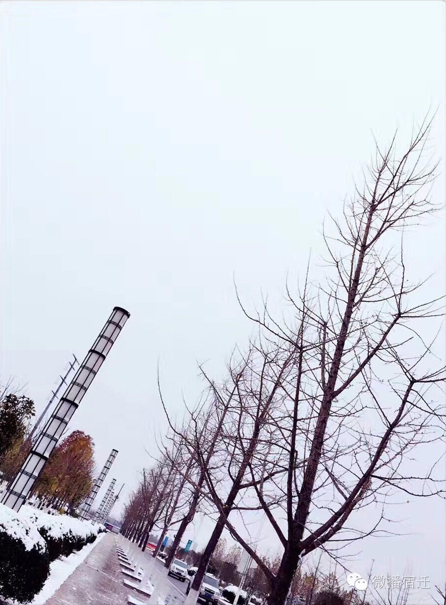 雪中宿迁,素颜都美到窒息!