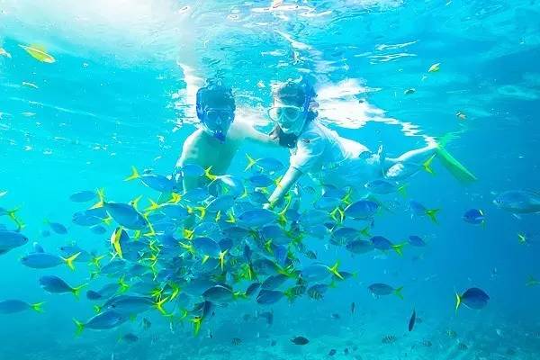 帕劳上帝水族馆介绍,帕劳上帝水族馆攻略
