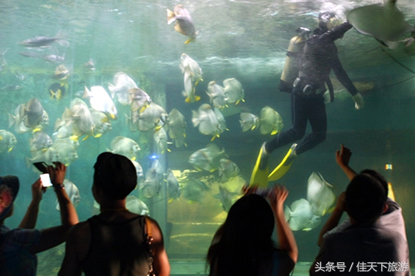 深圳小梅沙海洋世界游乐,深圳小梅沙海洋世界一日游