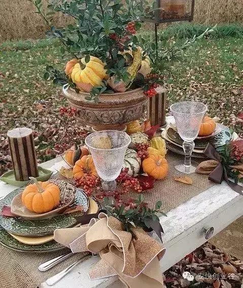 玩转感恩节视频,感恩节趣味记忆