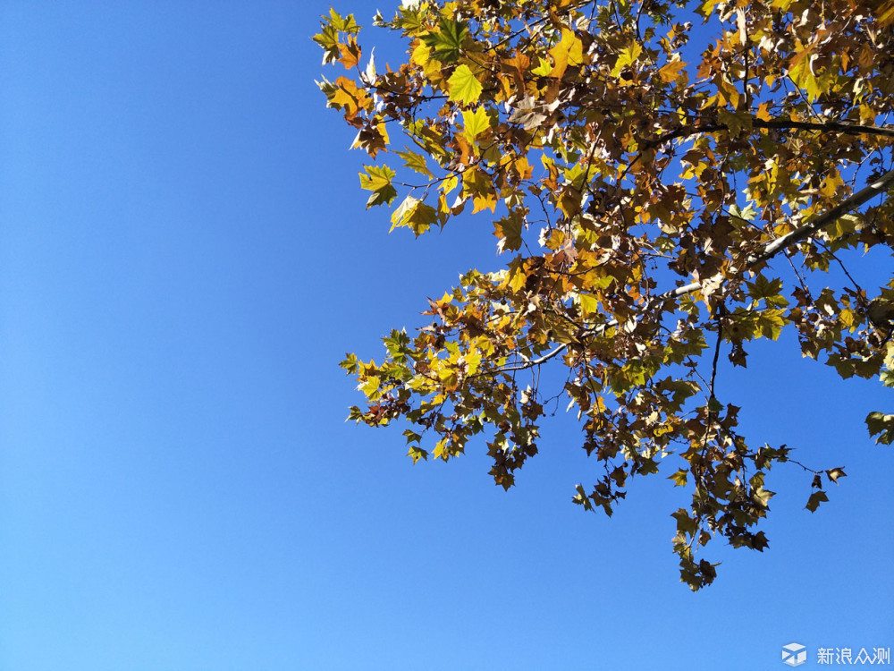 oppor9s值得入手吗,oppor9splus