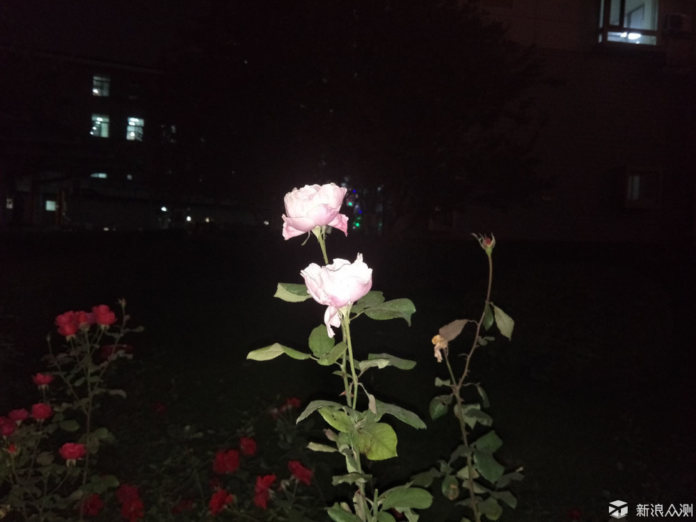 oppor9s值得入手吗,oppor9splus