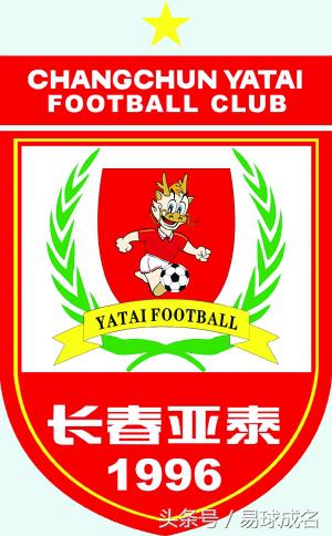 中国所有的队徽,各个国家队队徽星数