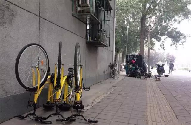 免费单车共享,单车和汽车共享