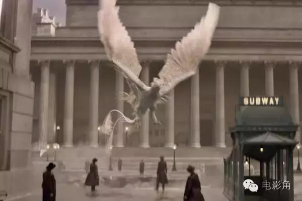 神奇动物在哪里28个彩蛋,神奇动物在哪里2结尾彩蛋