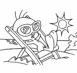 养宠物的正确方法和注意事项,养宠物的最佳方法和注意事项