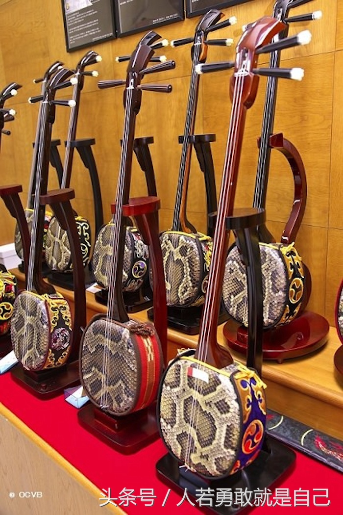 日本创意乐器,为什么乐器都用蛇皮做